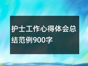 護(hù)士工作心得體會總結(jié)范例900字