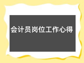 會(huì)計(jì)員崗位工作心得