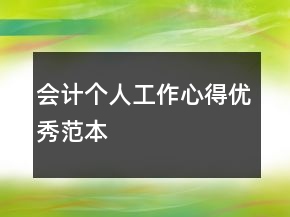 會計個人工作心得優(yōu)秀范本