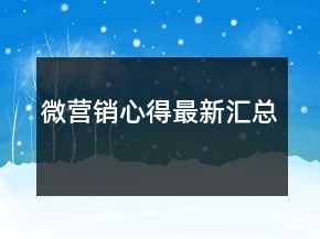 微營銷心得最新匯總