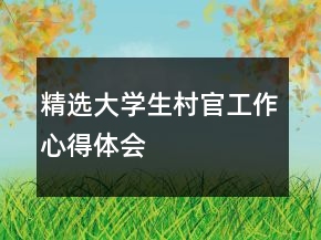 精選大學(xué)生村官工作心得體會