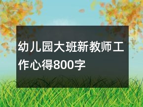 幼兒園大班新教師工作心得800字