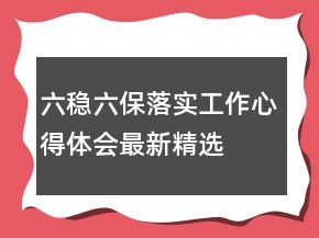 六穩(wěn)六保落實工作心得體會最新精選