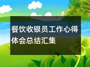餐飲收銀員工作心得體會總結(jié)匯集