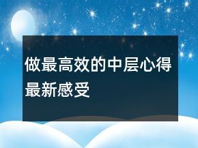 做最高效的中層心得最新感受