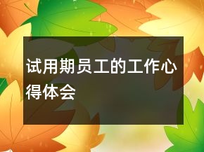 試用期員工的工作心得體會