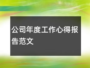 公司年度工作心得報(bào)告范文