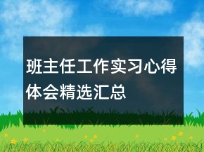 班主任工作實(shí)習(xí)心得體會(huì)精選匯總