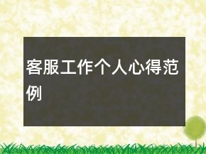 客服工作個(gè)人心得范例