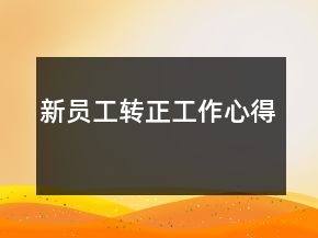 新員工轉(zhuǎn)正工作心得