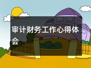審計財務(wù)工作心得體會