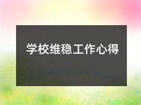 學校維穩(wěn)工作心得