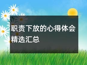 職責(zé)下放的心得體會精選匯總