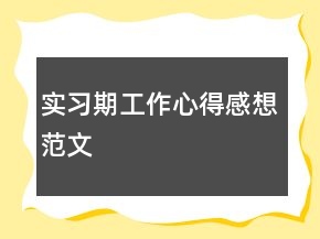 實(shí)習(xí)期工作心得感想范文