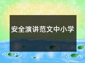 安全演講范文中小學