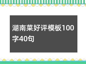 湖南菜好評模板100字40句