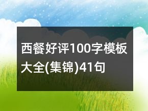 西餐好評100字模板大全(集錦)41句