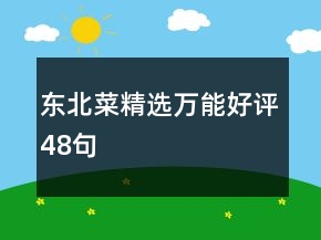 東北菜精選萬能好評48句