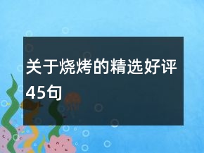 關于燒烤的精選好評45句