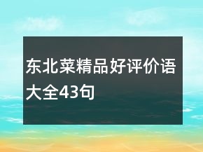 東北菜精品好評(píng)價(jià)語(yǔ)大全43句