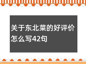 關(guān)于東北菜的好評(píng)價(jià)怎么寫42句