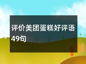 評價美團(tuán)蛋糕好評語49句