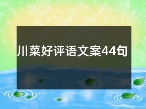 川菜好評(píng)語(yǔ)文案44句