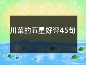 川菜的五星好評45句