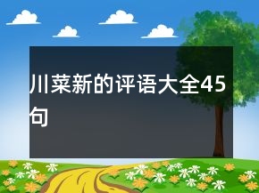川菜新的評語大全45句
