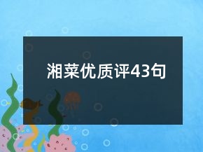 湘菜優(yōu)質(zhì)評43句