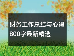 財(cái)務(wù)工作總結(jié)與心得800字最新精選