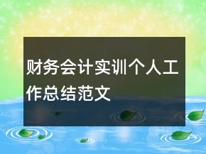 財務(wù)會計實訓個人工作總結(jié)范文