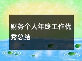 財(cái)務(wù)個(gè)人年終工作優(yōu)秀總結(jié)