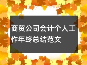 商貿(mào)公司會(huì)計(jì)個(gè)人工作年終總結(jié)范文