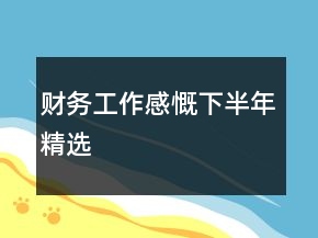 財(cái)務(wù)工作感慨下半年精選