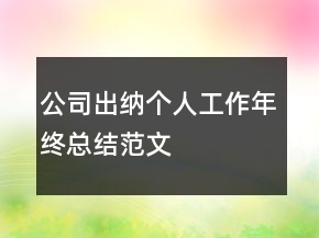 公司出納個(gè)人工作年終總結(jié)范文