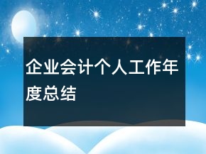 企業(yè)會計個人工作年度總結(jié)