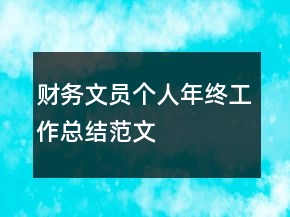 財務文員個人年終工作總結范文