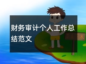 財(cái)務(wù)審計(jì)個(gè)人工作總結(jié)范文