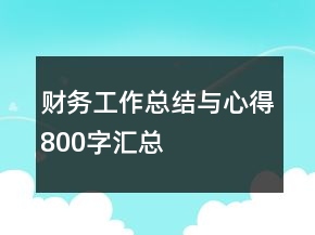 財(cái)務(wù)工作總結(jié)與心得800字匯總