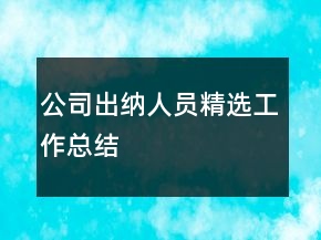 公司出納人員精選工作總結(jié)