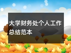 大學(xué)財(cái)務(wù)處個(gè)人工作總結(jié)范本