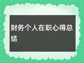 財務(wù)個人在職心得總結(jié)