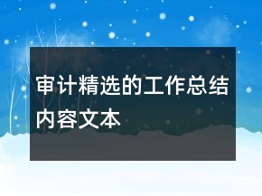 審計(jì)精選的工作總結(jié)內(nèi)容文本