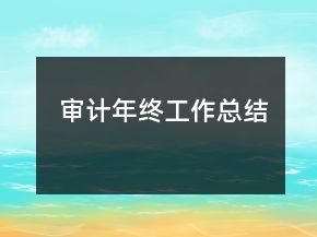 審計年終工作總結(jié)