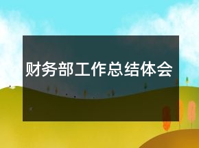 財(cái)務(wù)部工作總結(jié)體會(huì)
