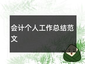 會(huì)計(jì)個(gè)人工作總結(jié)范文
