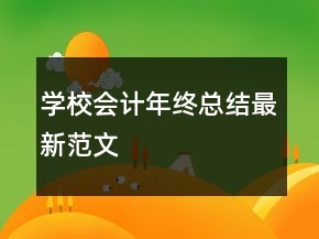 學校會計年終總結最新范文