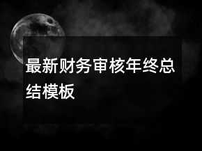 最新財務(wù)審核年終總結(jié)模板