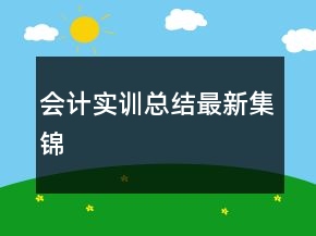會(huì)計(jì)實(shí)訓(xùn)總結(jié)最新集錦
